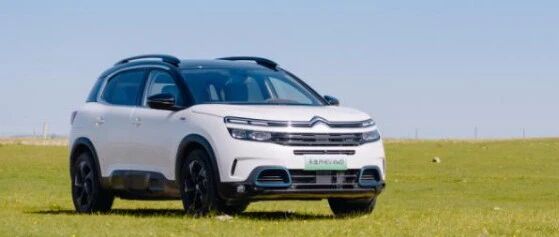 跟着天逸插混去牧羊 撒欢一整天 不到50元