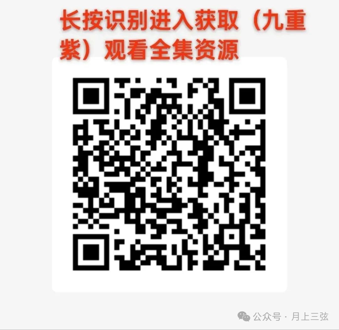 九重紫团综