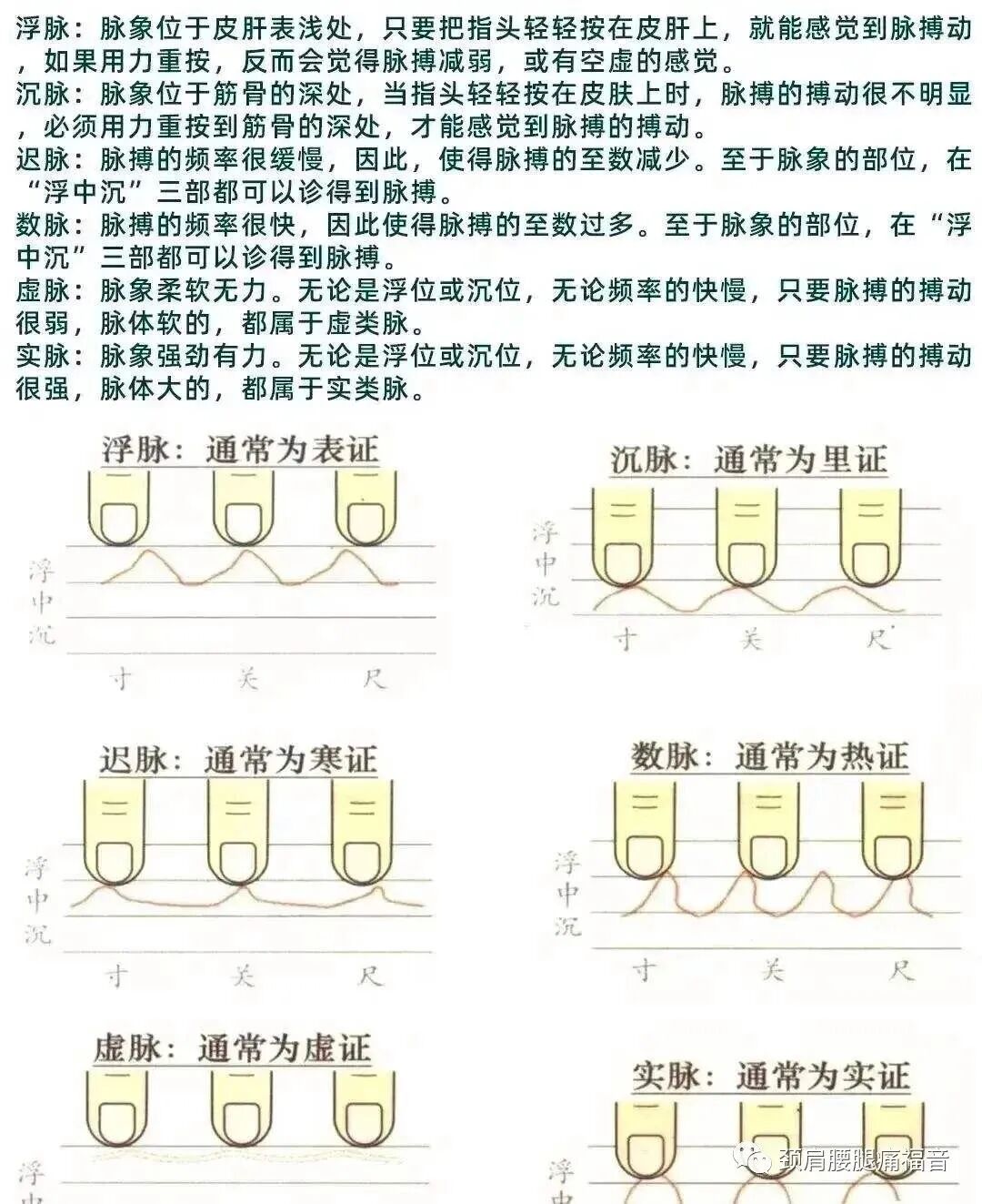 为什么心是钩脉脉诊—五脏脉_https://www.jmylbn.com_新闻资讯_第3张