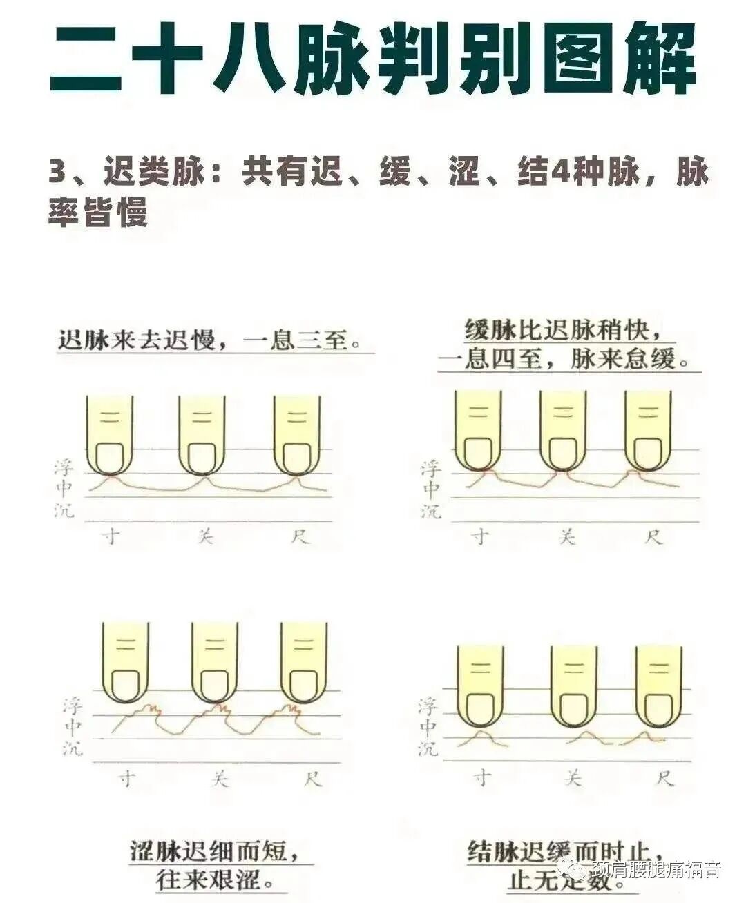 为什么心是钩脉脉诊—五脏脉_https://www.jmylbn.com_新闻资讯_第6张