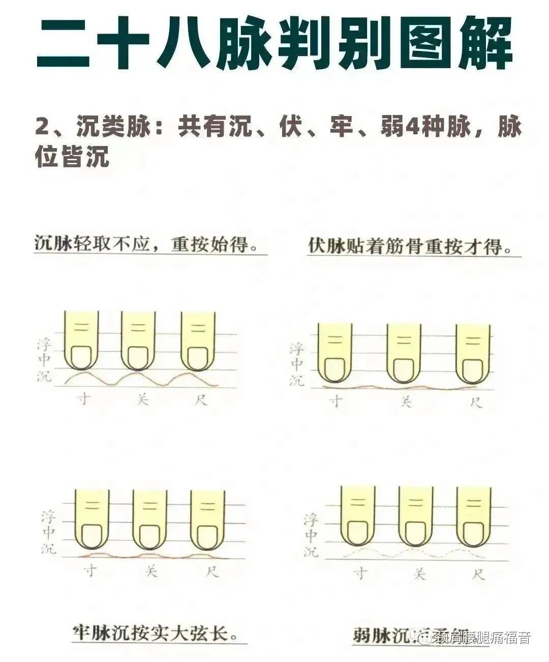为什么心是钩脉脉诊—五脏脉_https://www.jmylbn.com_新闻资讯_第5张