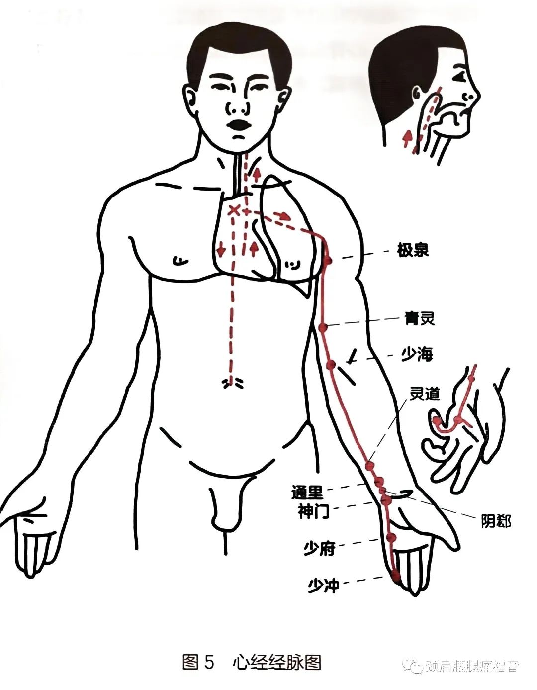 手少阴心经