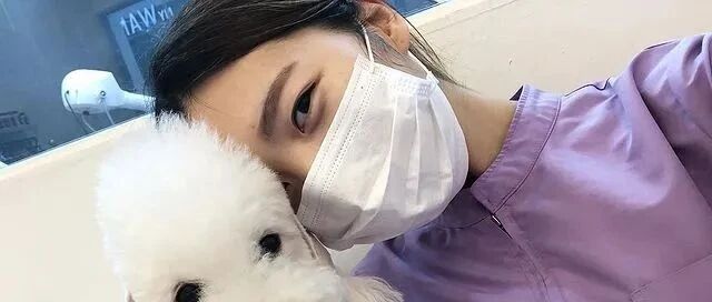 韩国最美Tony老师爆红全网，“换头术”吸粉3亿！网友：姐姐，救救我的狗头！