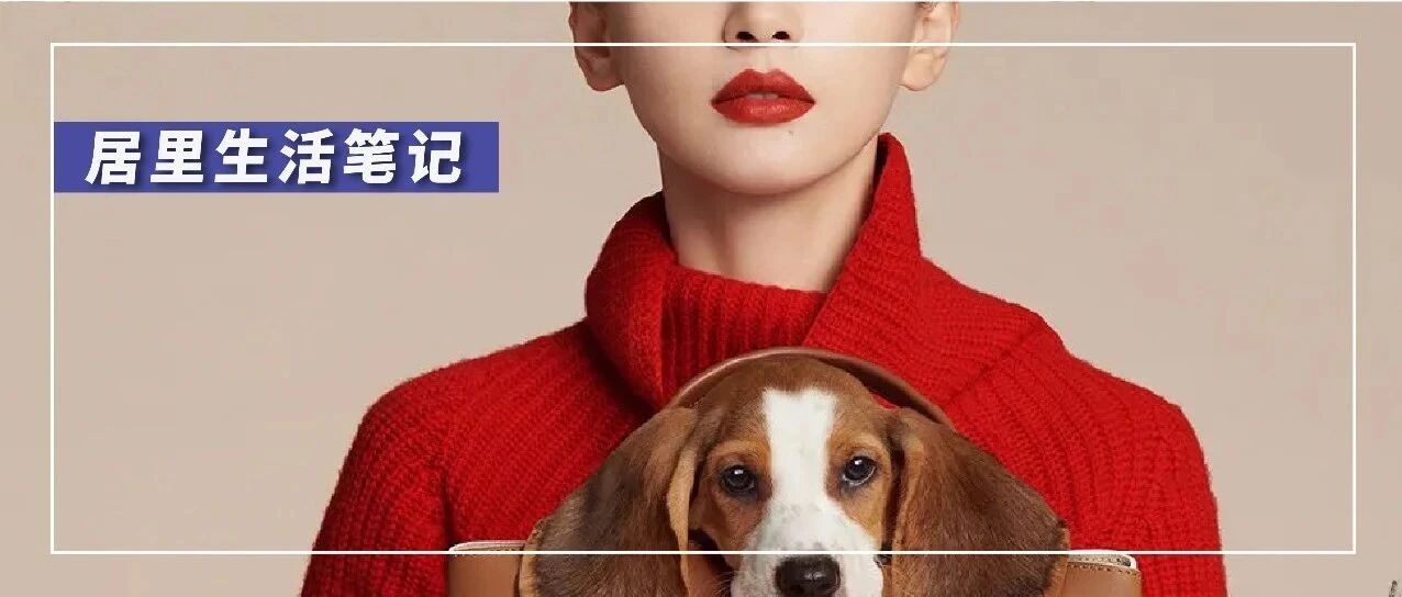 王子文近照评论区大翻车，14万“恶评”背后的残酷真相令人心酸