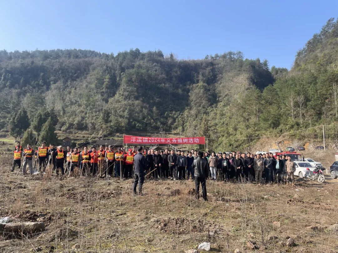 植新树开新局洋溪镇开展2024年义务植树活动