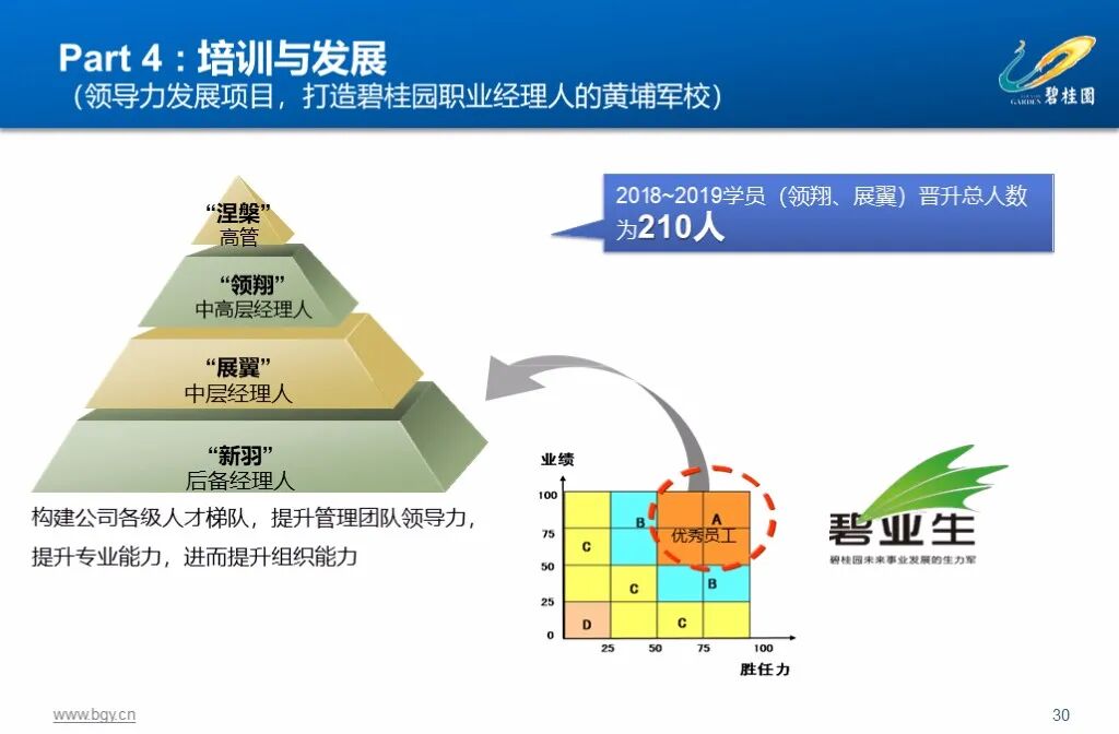 图片[17]-500强企业，碧桂园集团人力资源管理实践53页精品PPT课件，收藏！-91智库网