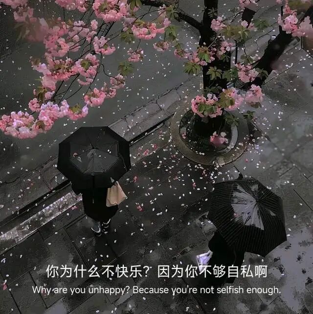 突然被这段话惊醒了