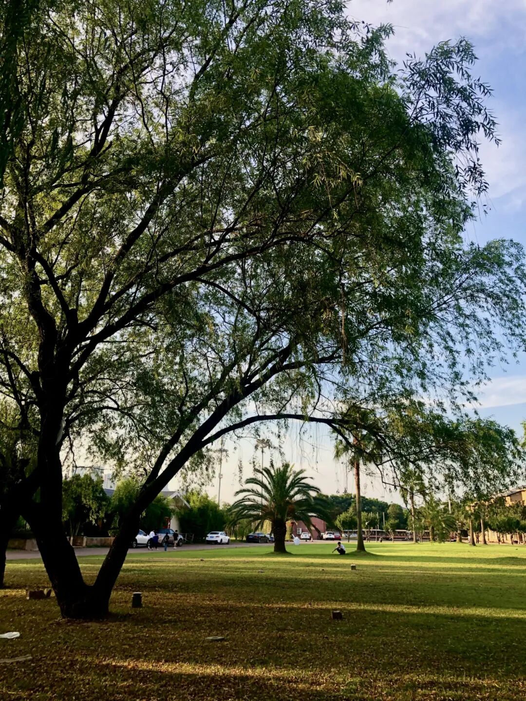 长沙旅游必打卡景点：橘子洲-游玩攻略