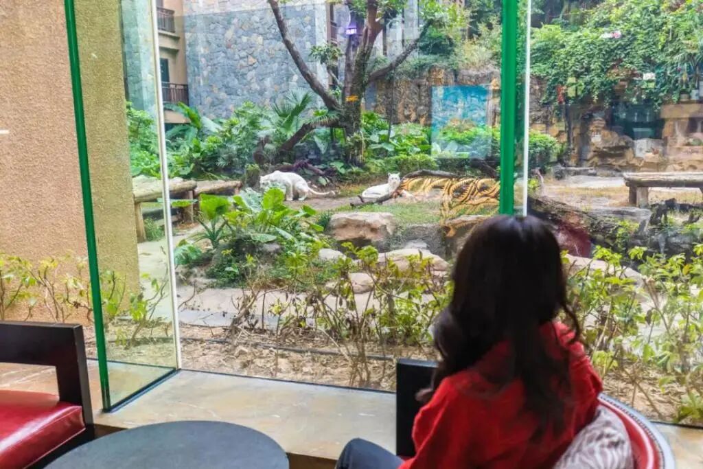 广州长隆门票_广州长隆水上乐园门票官网_广州长隆水上乐园门票可以退吗