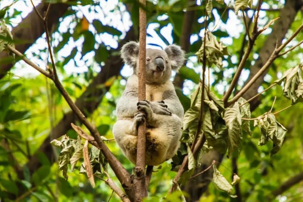 广州长隆水上乐园门票可以退吗_广州长隆水上乐园门票官网_广州长隆门票