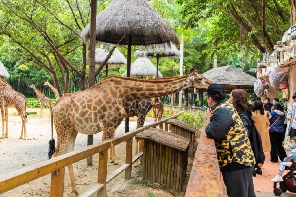 广州长隆水上乐园门票可以退吗_广州长隆门票_广州长隆水上乐园门票官网