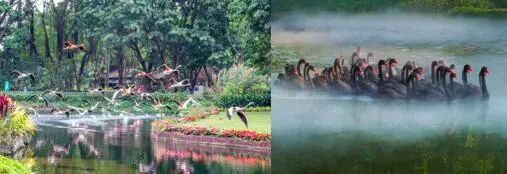 广州长隆水上乐园门票官网_广州长隆水上乐园门票可以退吗_广州长隆门票