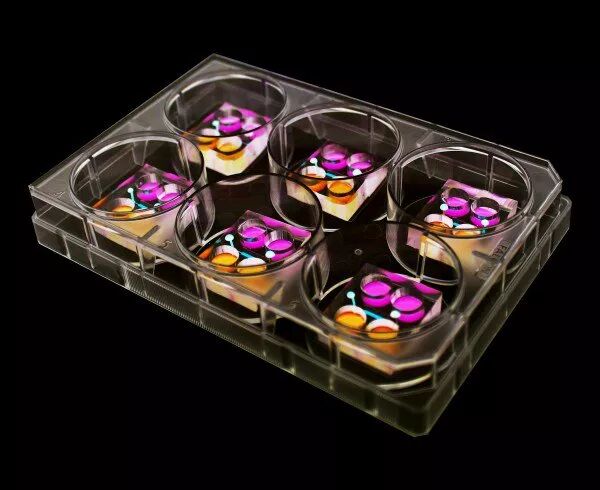 深度解读丨2018年十大突破性技术榜单发布，未来是这样的……