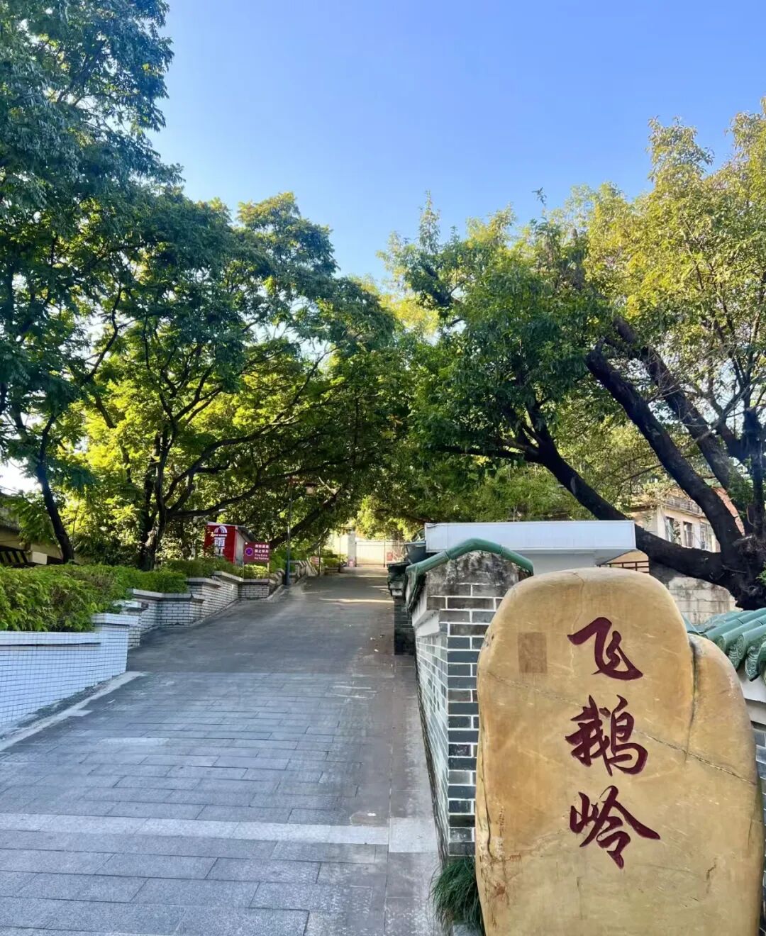小红书@探店小红薯