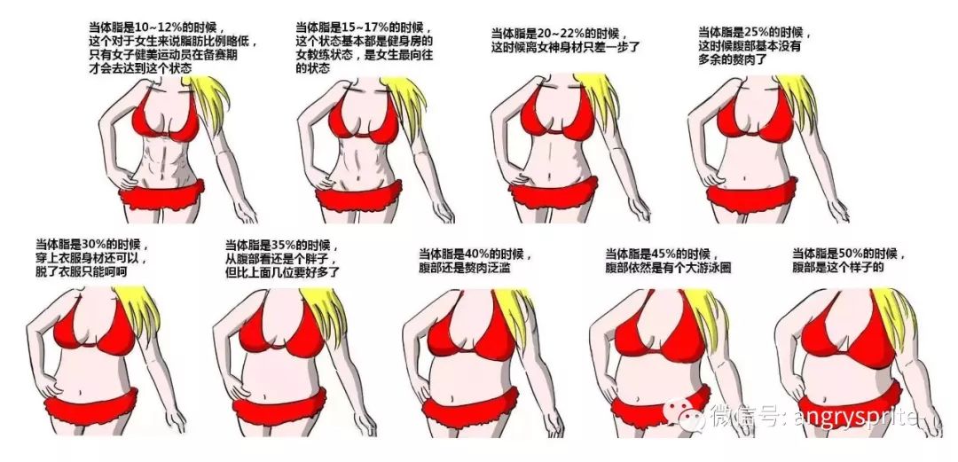 肥胖 | 体脂率的计算方法