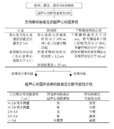 陳亞紅：慢阻肺合併重度肺動脈高壓的治療丨CACP 2019 健康 第5張