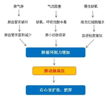 陳亞紅：慢阻肺合併重度肺動脈高壓的治療丨CACP 2019 健康 第2張