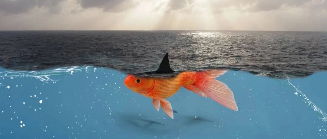 “不走寻常路”的肉芽肿性血管炎 | 病例分享