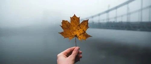 46岁女子咳嗽、胸闷，疑似哮喘，病重转入ICU，这个病因很容易被忽视！