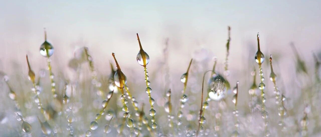 六张图表带你走进肺动脉高压的评估和处置