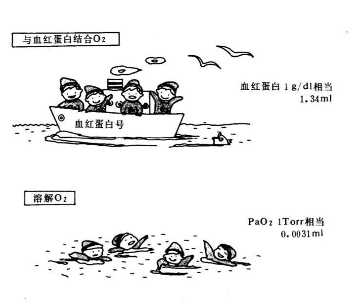 怎么提高氧饱和65氧分压、血氧饱和度与低氧血症，氧气到底有多重要，一起来了解吧！_https://www.jmylbn.com_新闻资讯_第4张