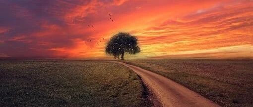 15种，支气管扩张病因影像学表现，你知道多少？│以影识病