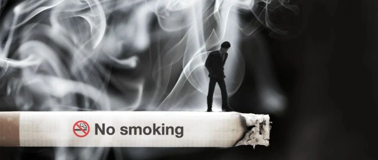 也许有一天你会发现，以后没有也许了│世界无烟日