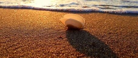 真菌性肺炎的治疗与预防，全面总结！│临床必备