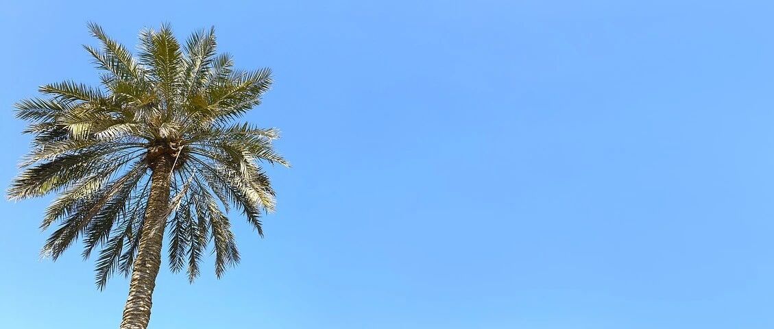 Example Image