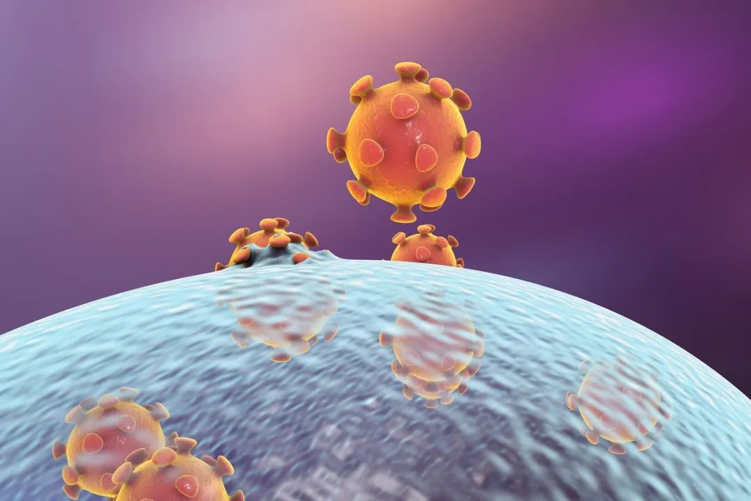 看懂了人體-菌群-病原的代謝戰爭，就知道怎麼提高免疫力了？ 健康 第1張