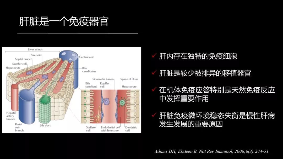 馬雄：20年鑽研自身免疫性肝病，爭研究型醫生金牌！ 健康 第9張