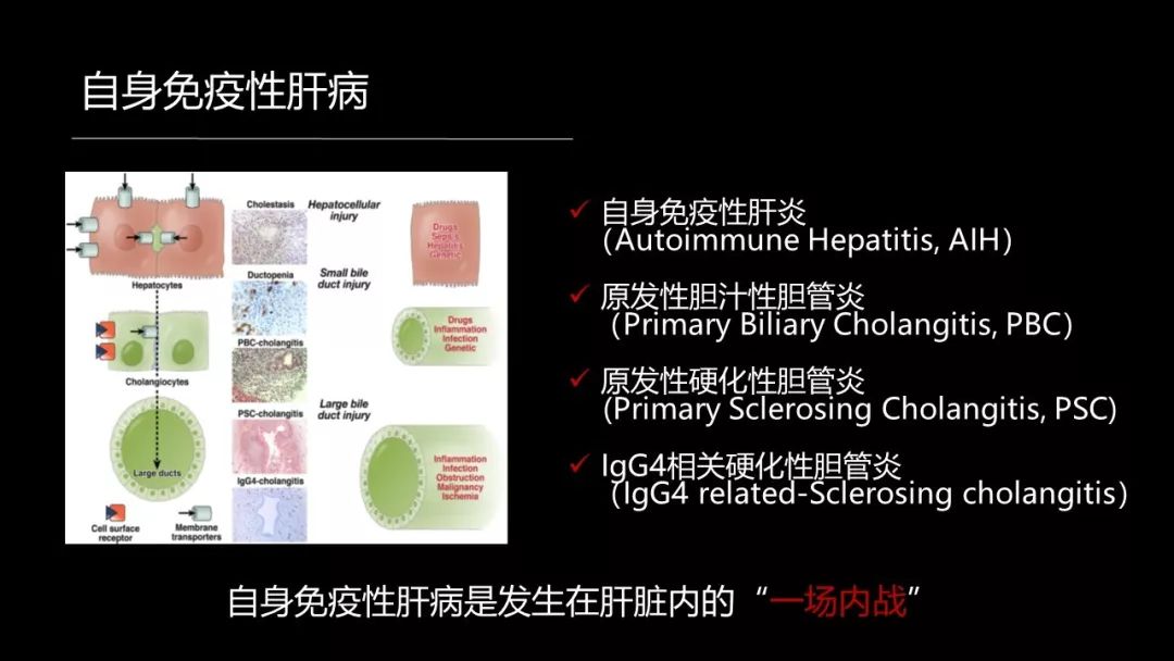 馬雄：20年鑽研自身免疫性肝病，爭研究型醫生金牌！ 健康 第13張