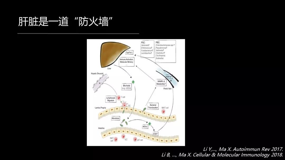 馬雄：20年鑽研自身免疫性肝病，爭研究型醫生金牌！ 健康 第35張