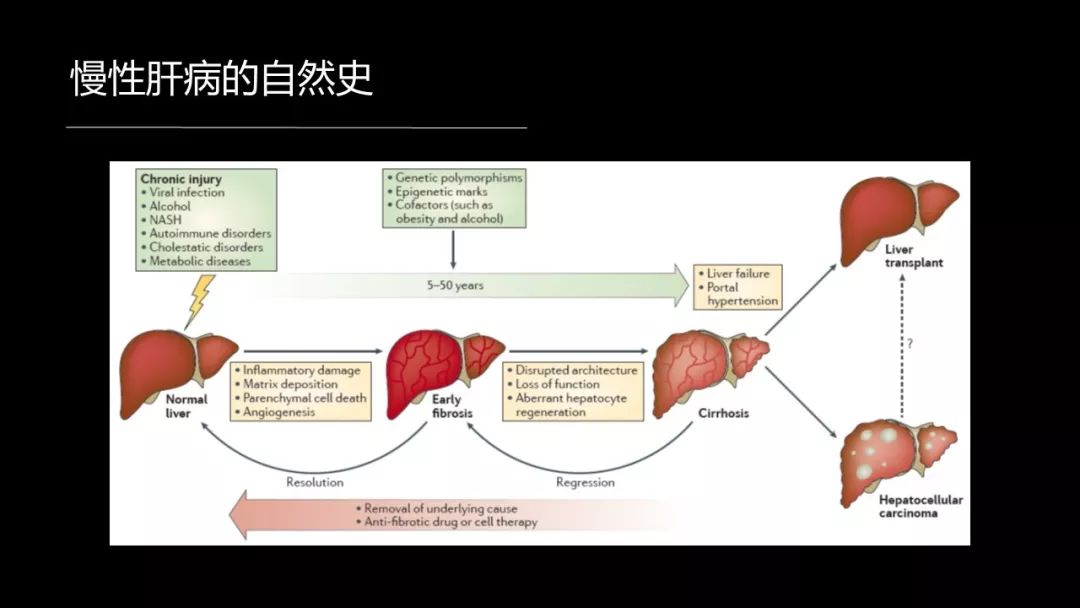 馬雄：20年鑽研自身免疫性肝病，爭研究型醫生金牌！ 健康 第10張