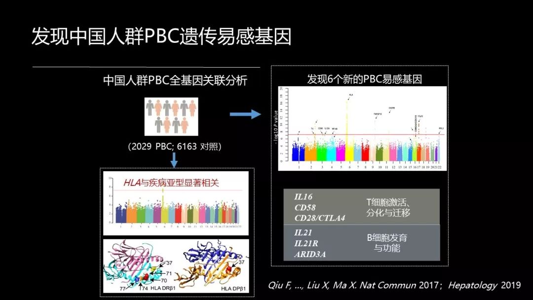 馬雄：20年鑽研自身免疫性肝病，爭研究型醫生金牌！ 健康 第34張