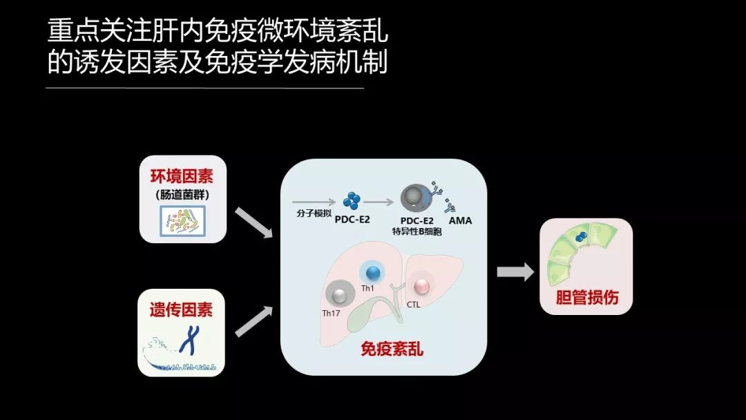 馬雄：20年鑽研自身免疫性肝病，爭研究型醫生金牌！ 健康 第33張