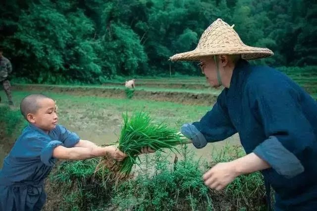 留學法國的醫學女博士，回國後竟然出家，這個「佛門奇女子」感動所有人 留學 第10張