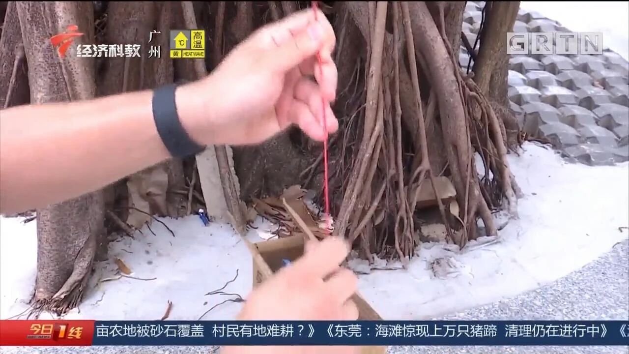 玩具|【可怕】戳进女童眼睛，直插颅脑！这款网红玩具已致多人受伤！