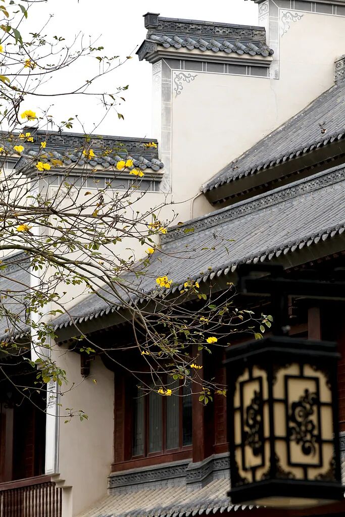 △安庆的徽派建筑