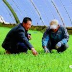 嘉峪关：春回大地春耕忙