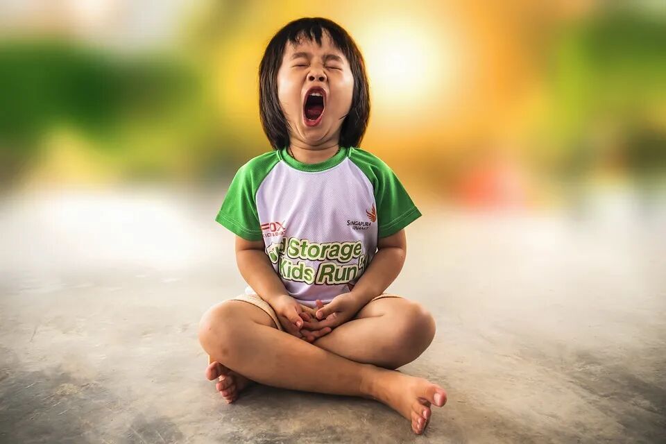 官网-广东顺德区量磁电气有限公司