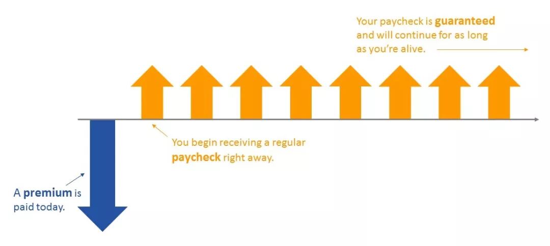 我们应该如何选择年金保险？