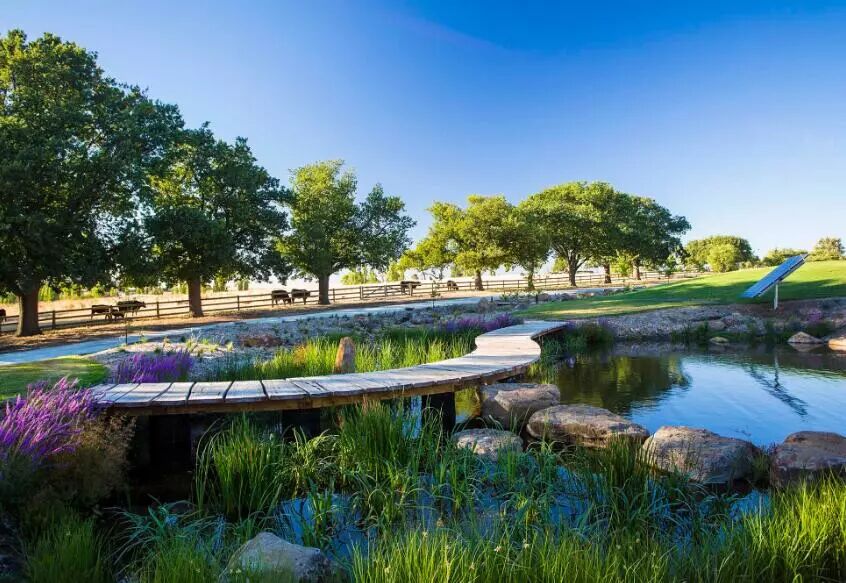 绝对干货 图解雨水花园 景观手绘家 微信公众号文章阅读 Wemp