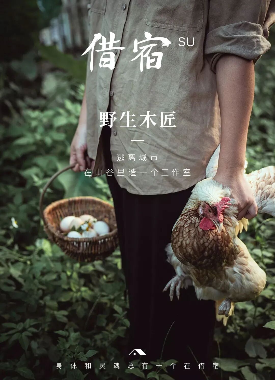 3个 野木匠 拆窗户 改床板 围出一座北欧花园 借宿微信公众号文章