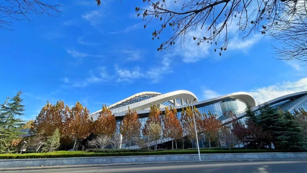 组图丨当泰安文化艺术中心与初冬碰撞这里藏着撩人的诗意
