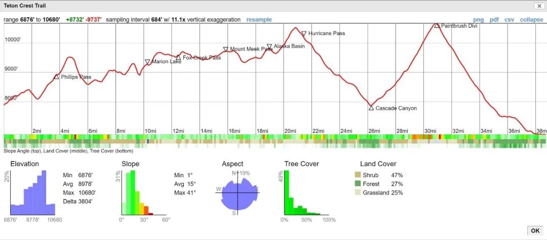Zhang Nuoya 张诺娅
