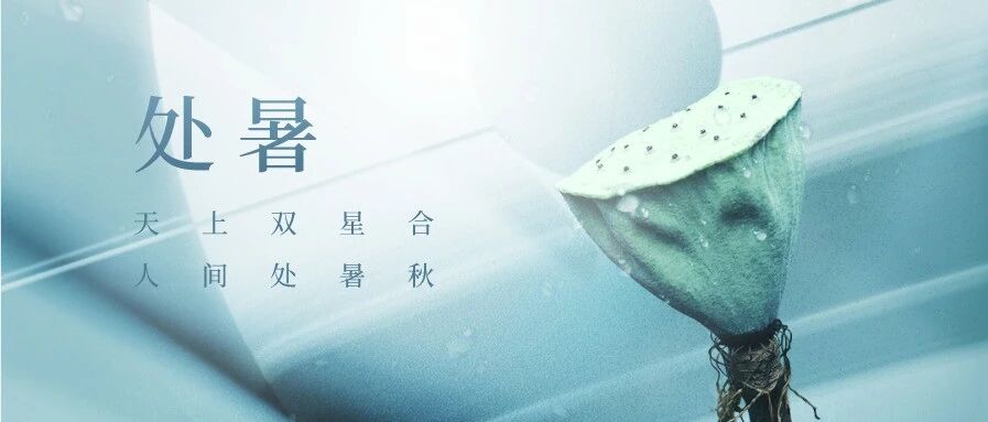 处暑不是暑，秋风知我意