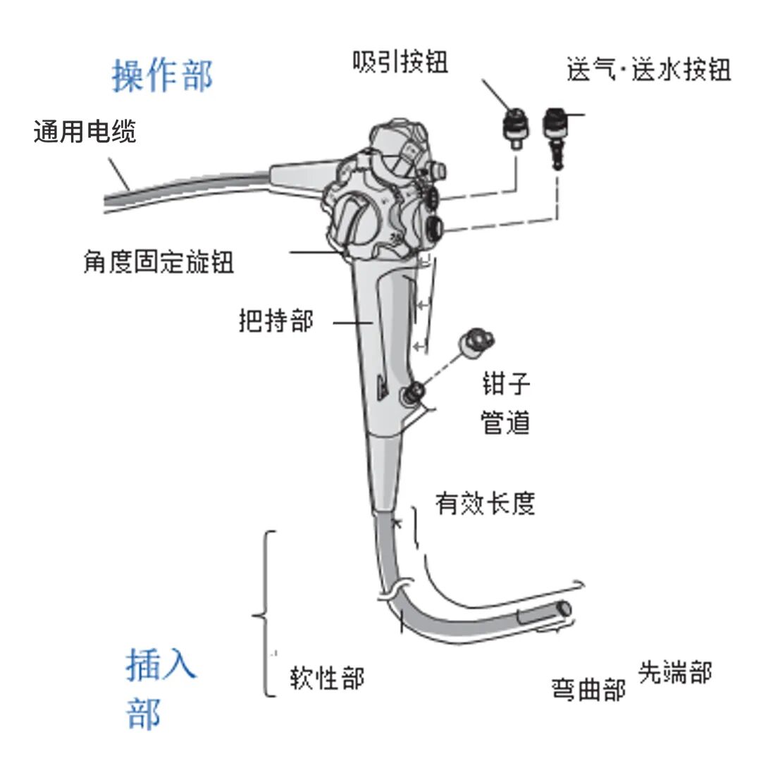 内窥镜导光束怎么更换医加百科｜微创时代的内窥镜系统组成与分类_https://www.jmylbn.com_新闻资讯_第6张