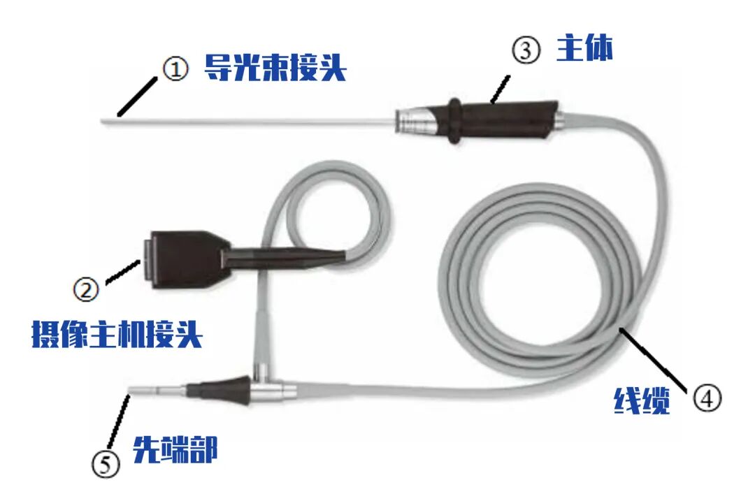 内窥镜导光束怎么更换一文看懂硬性内窥镜和软性内窥镜的区别！_https://www.jmylbn.com_新闻资讯_第4张
