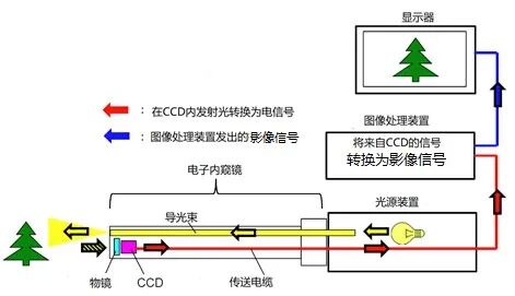 内窥镜导光束怎么更换医加百科｜微创时代的内窥镜系统组成与分类_https://www.jmylbn.com_新闻资讯_第7张